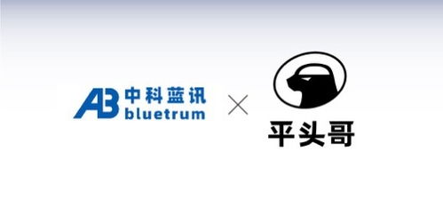 藍牙芯片廠商中科藍訊與平頭哥半導(dǎo)體達成合作